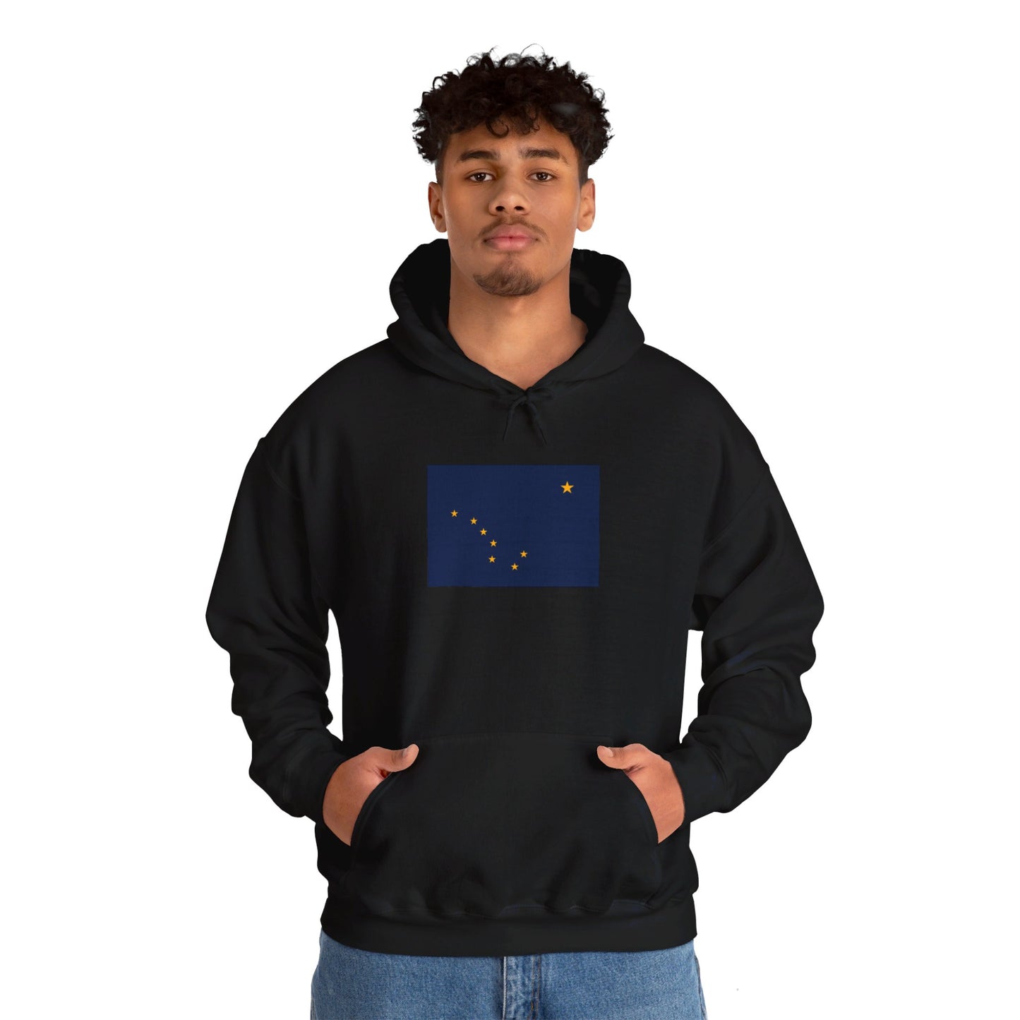 Alaska Flag Hoodie