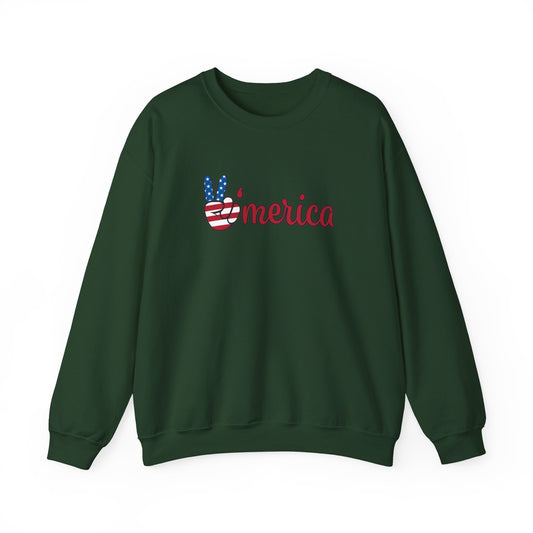 America Sweatshirt