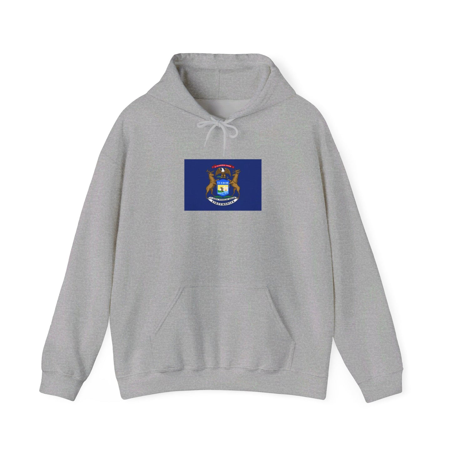 Michigan Flag Hoodie