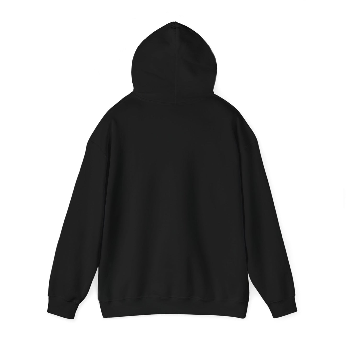 New Mexico Flag Hoodie