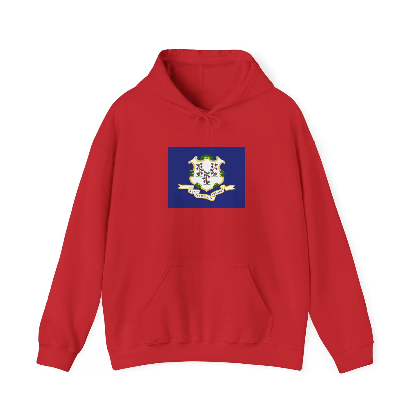 Connecticut Flag Hoodie