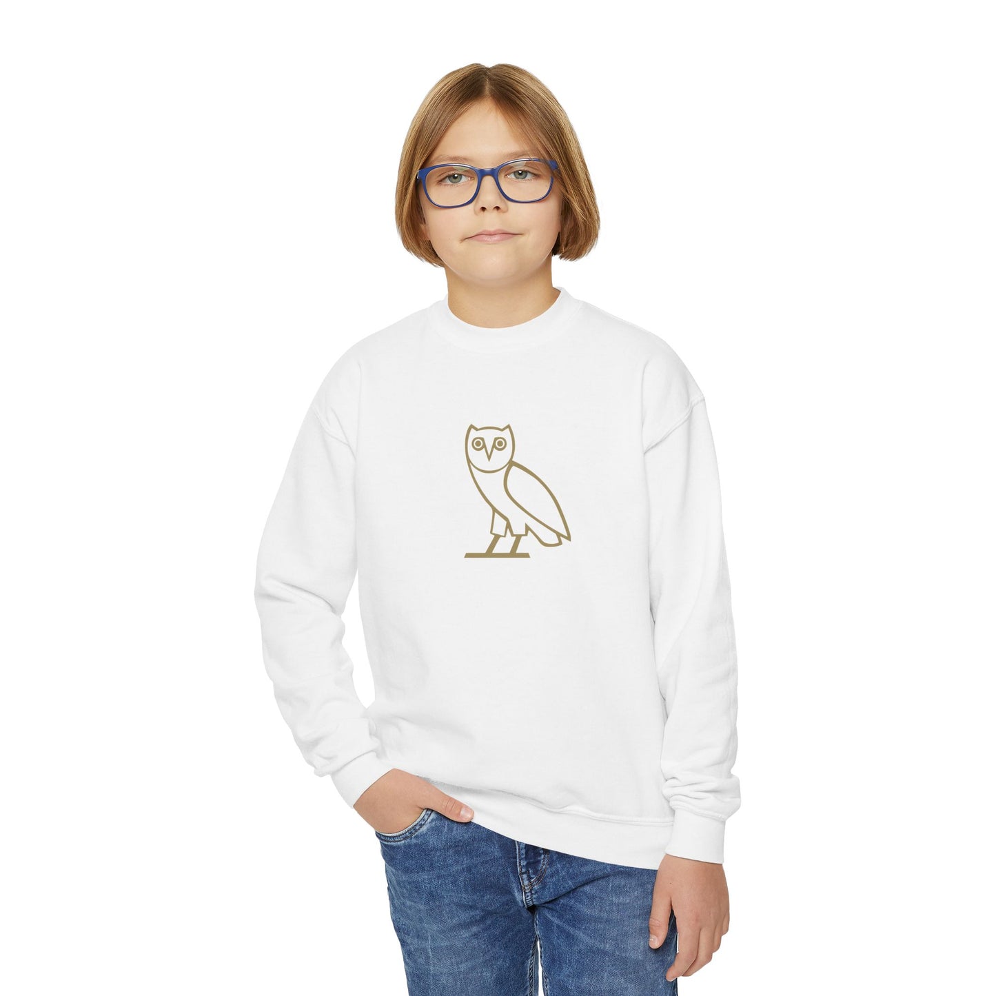 Drake OVO Owl Youth Sweatshirt