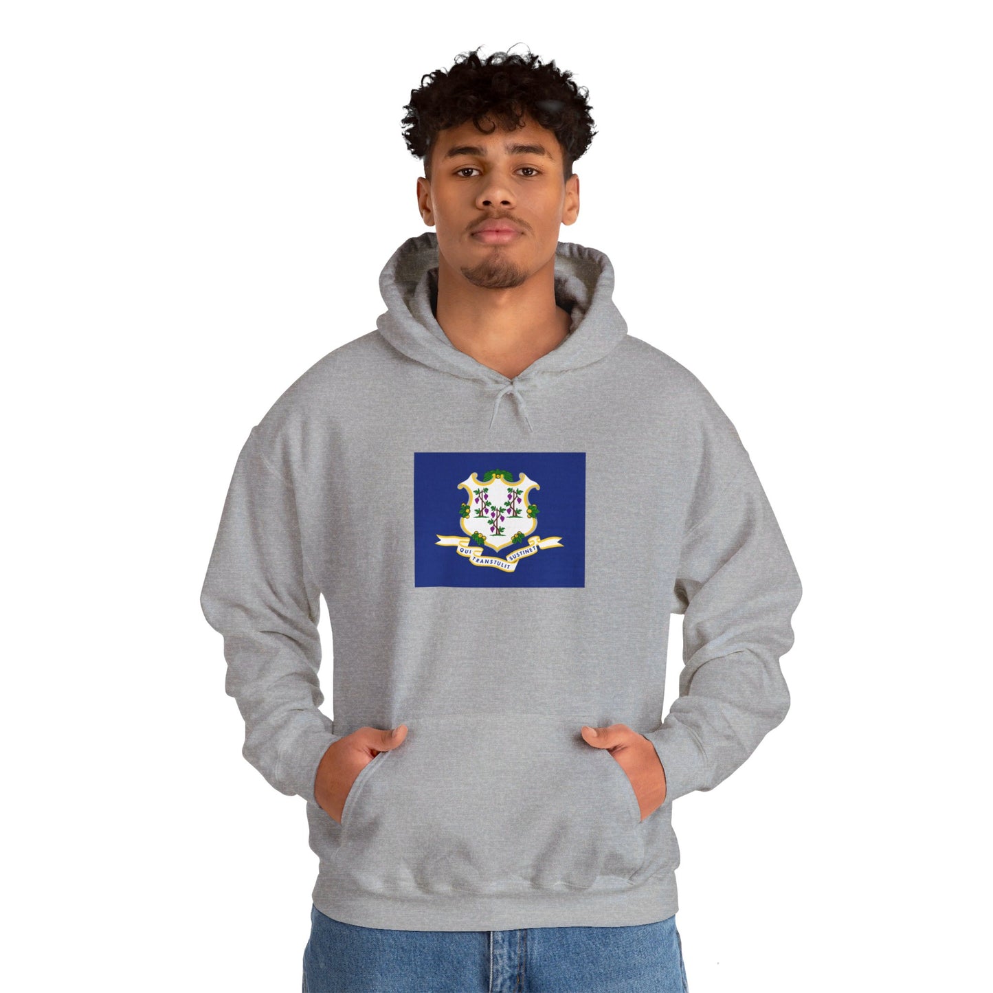 Connecticut Flag Hoodie