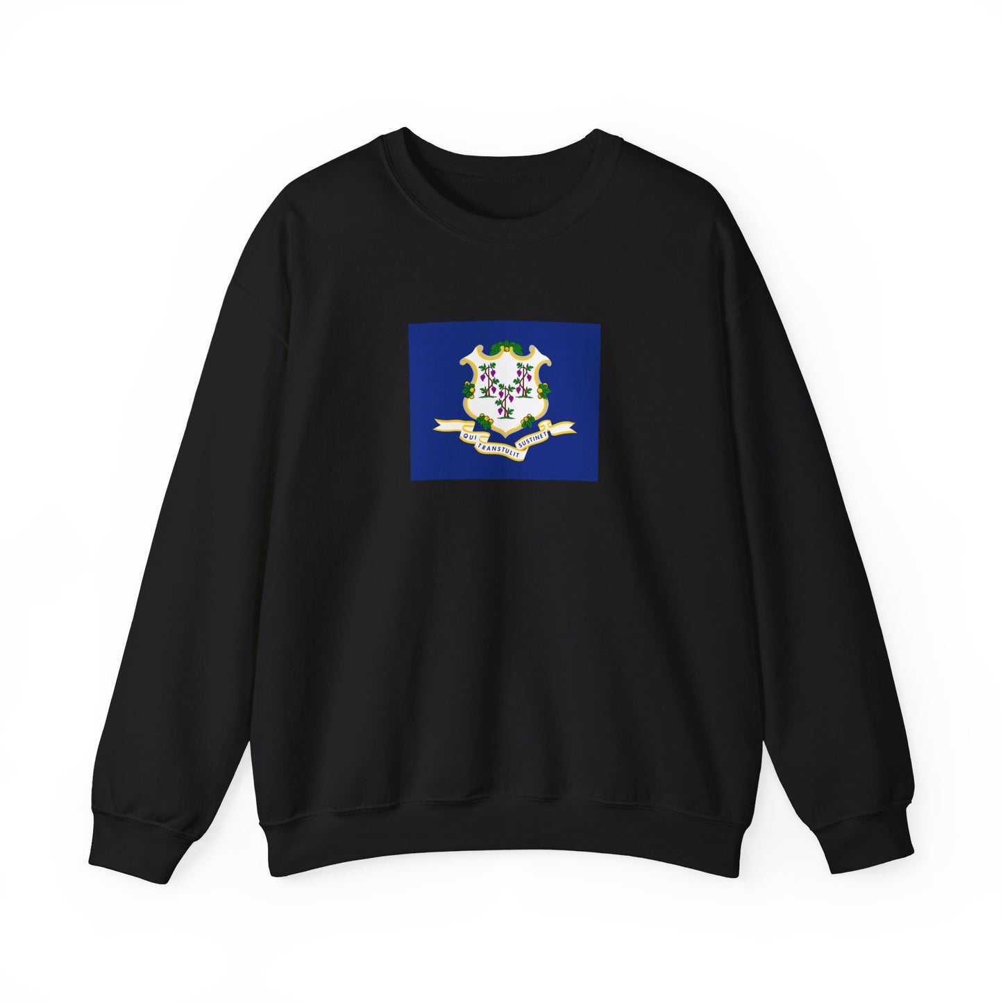 Connecticut Flag Sweatshirt