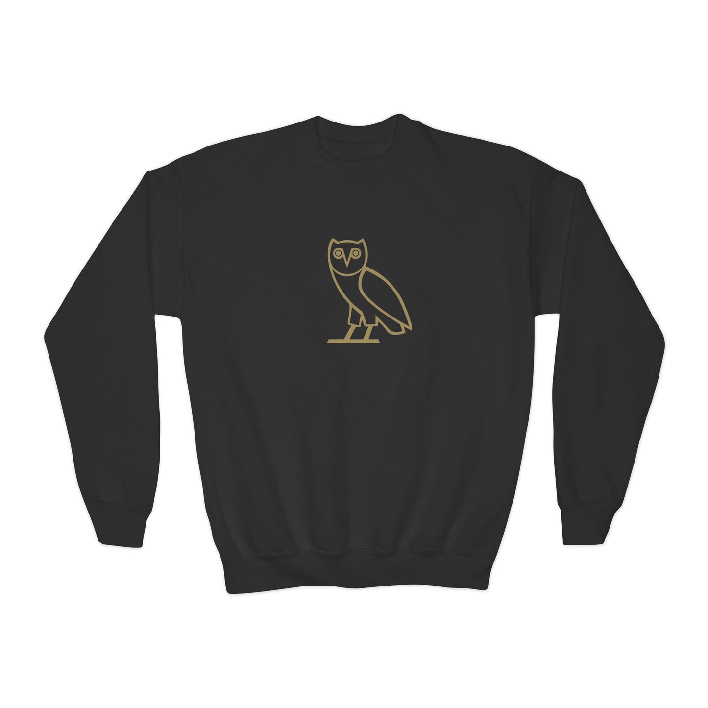 Drake OVO Owl Youth Sweatshirt