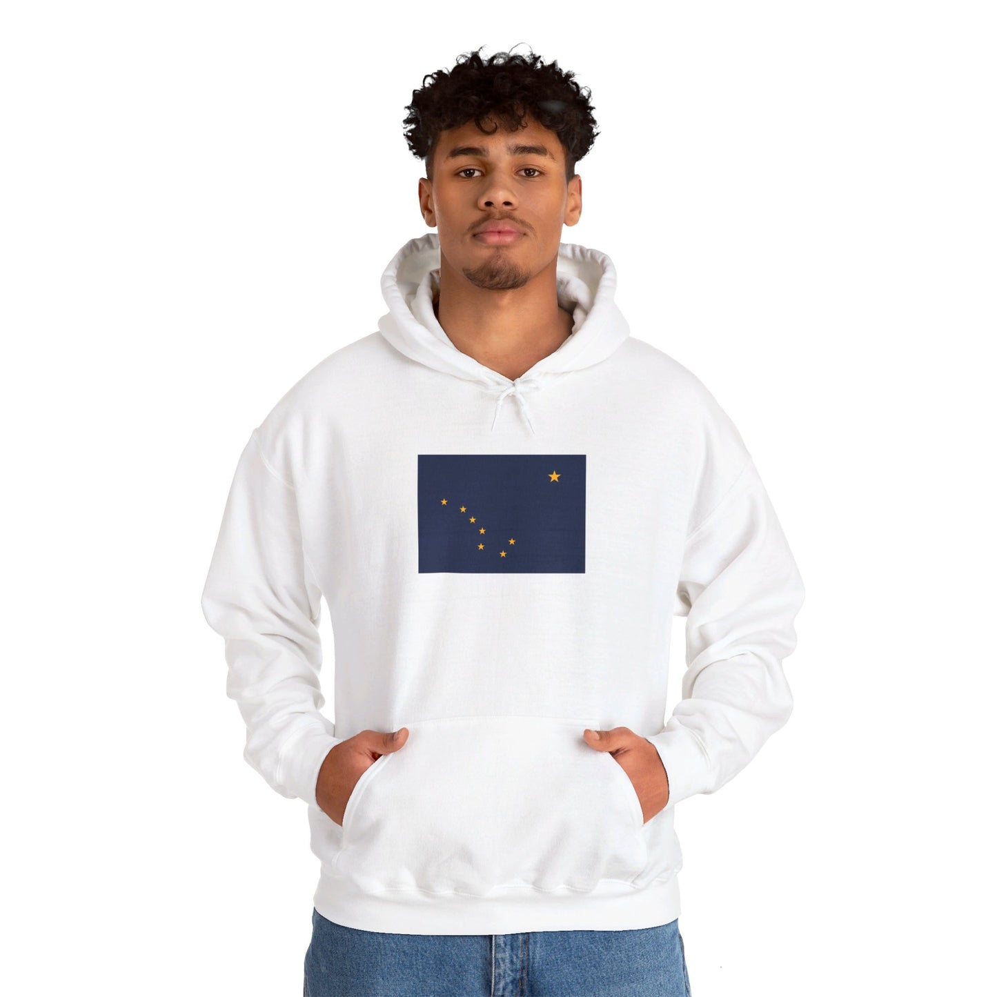 Alaska Flag Hoodie