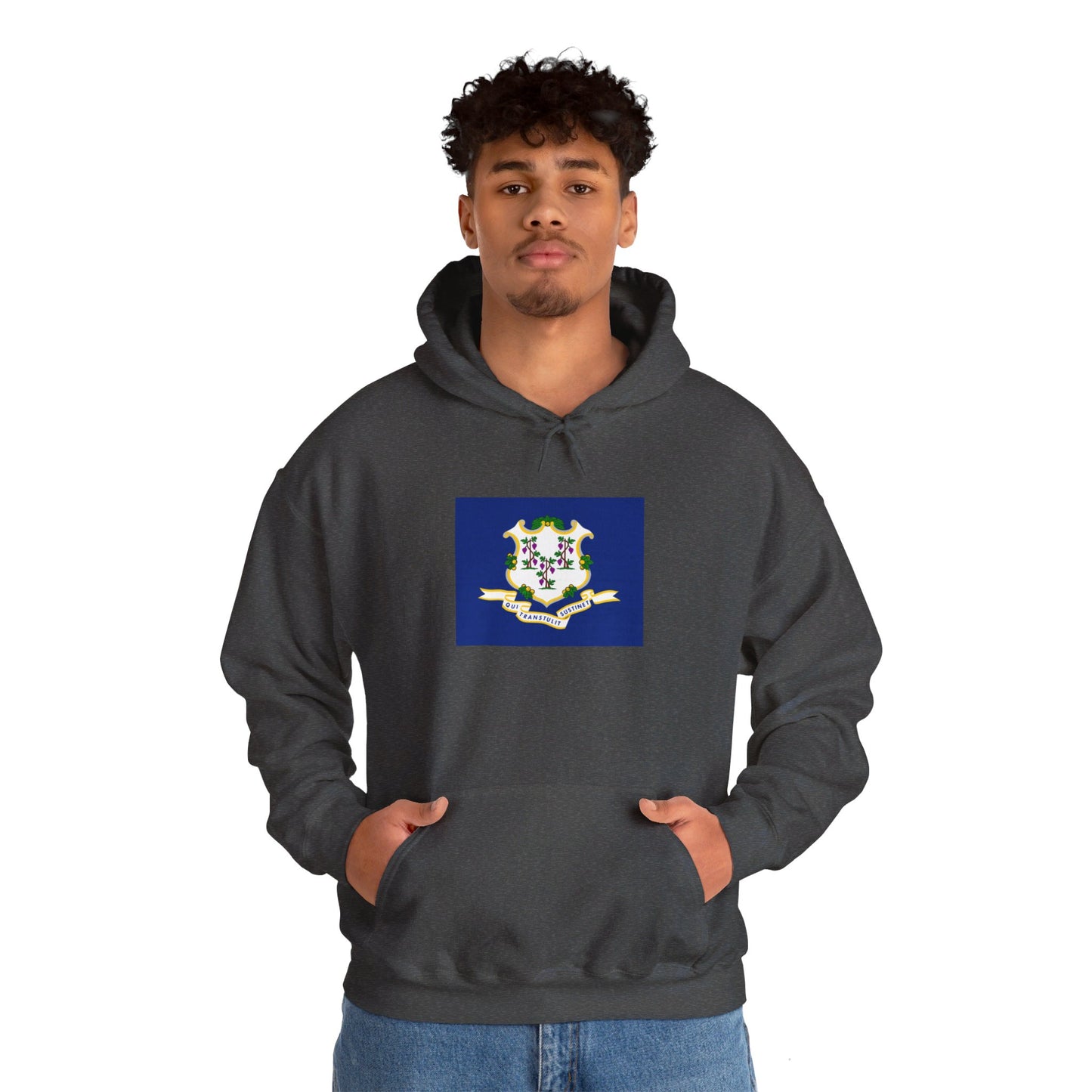 Connecticut Flag Hoodie