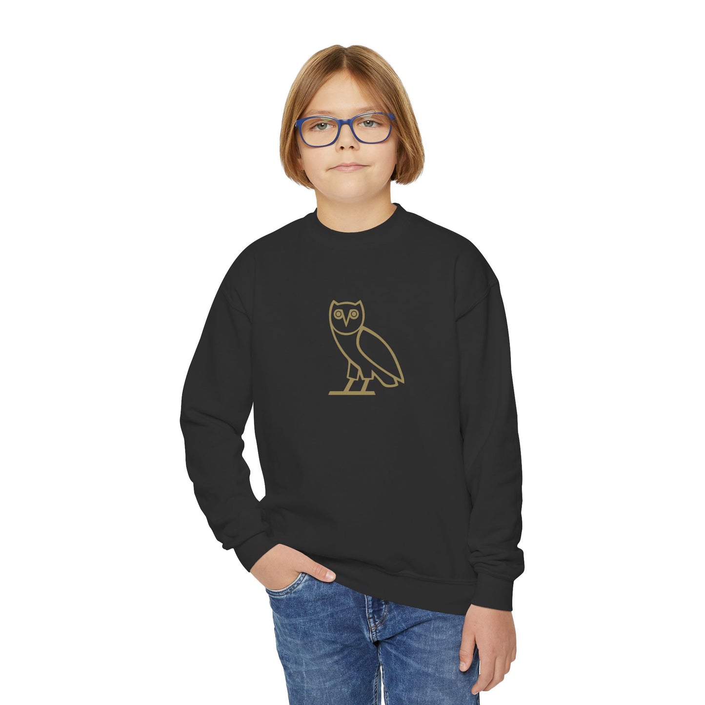 Drake OVO Owl Youth Sweatshirt