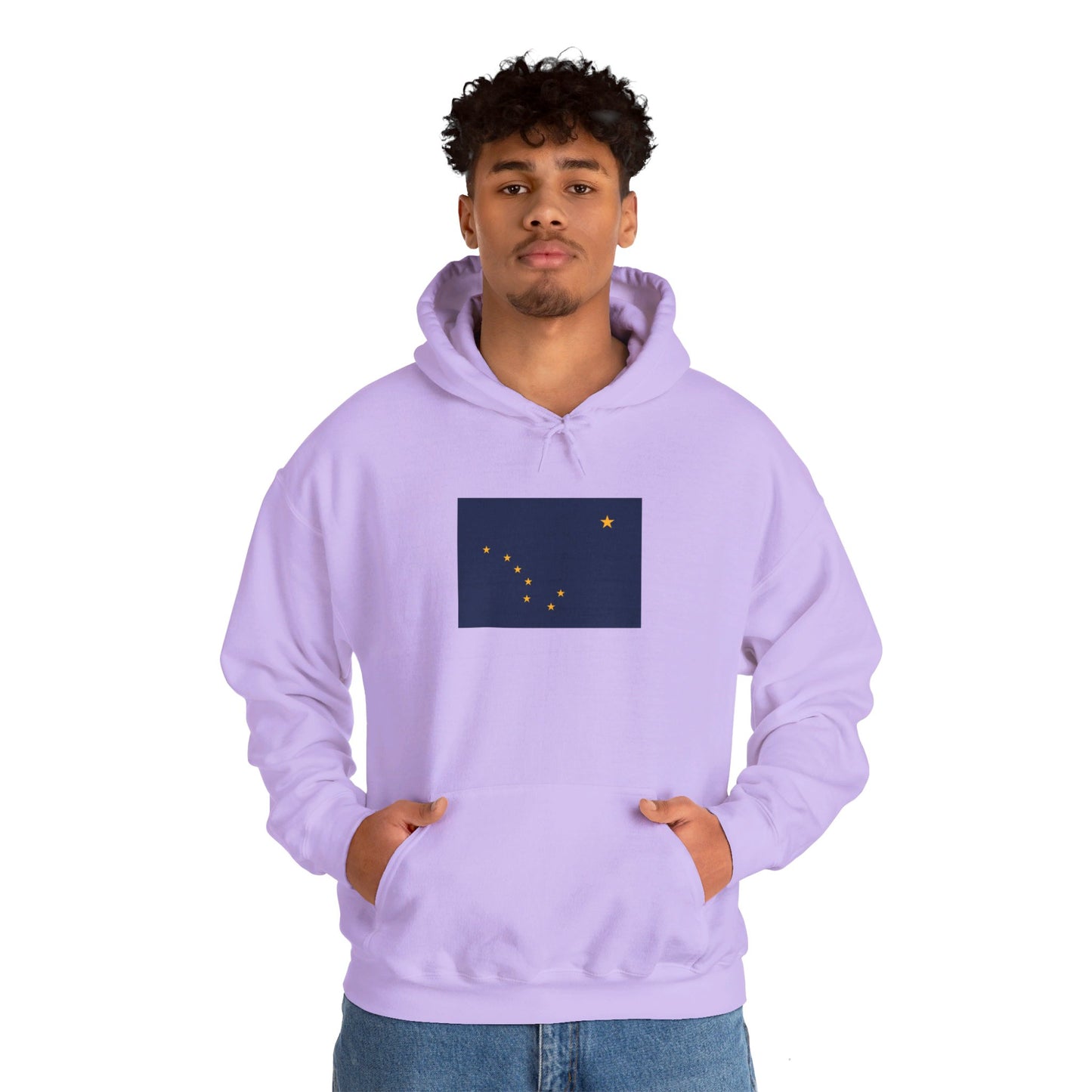 Alaska Flag Hoodie