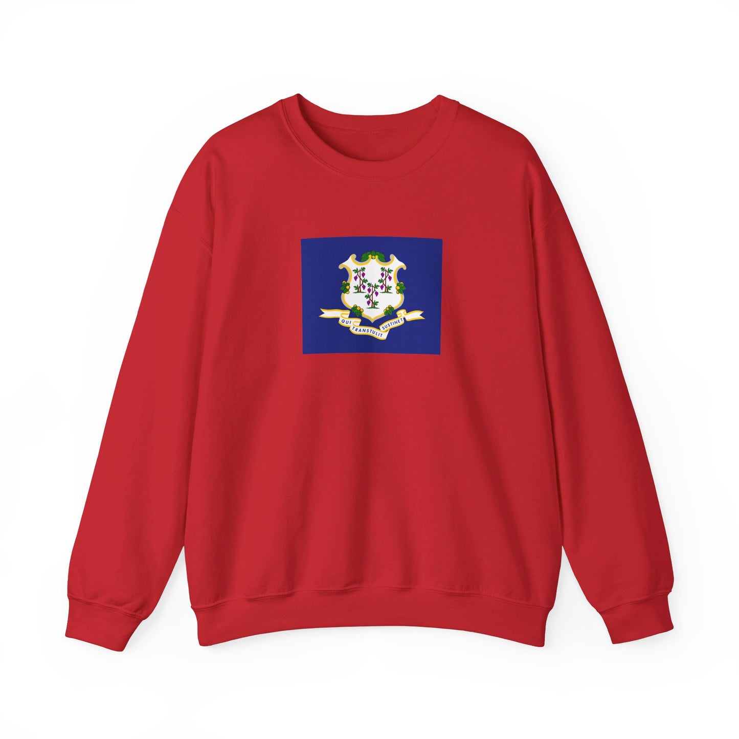 Connecticut Flag Sweatshirt