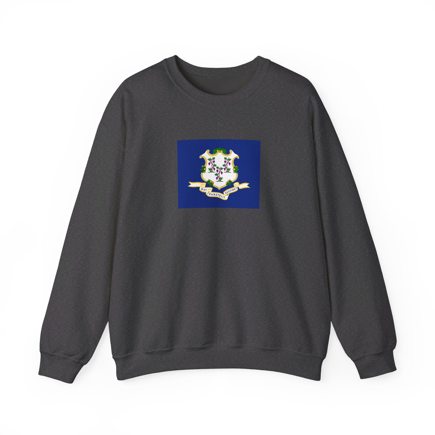 Connecticut Flag Sweatshirt