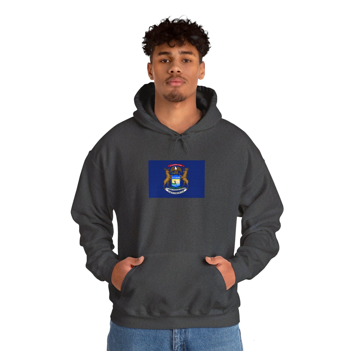 Michigan Flag Hoodie