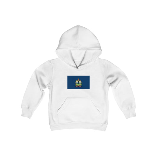 Vermont Flag Youth Hoodie