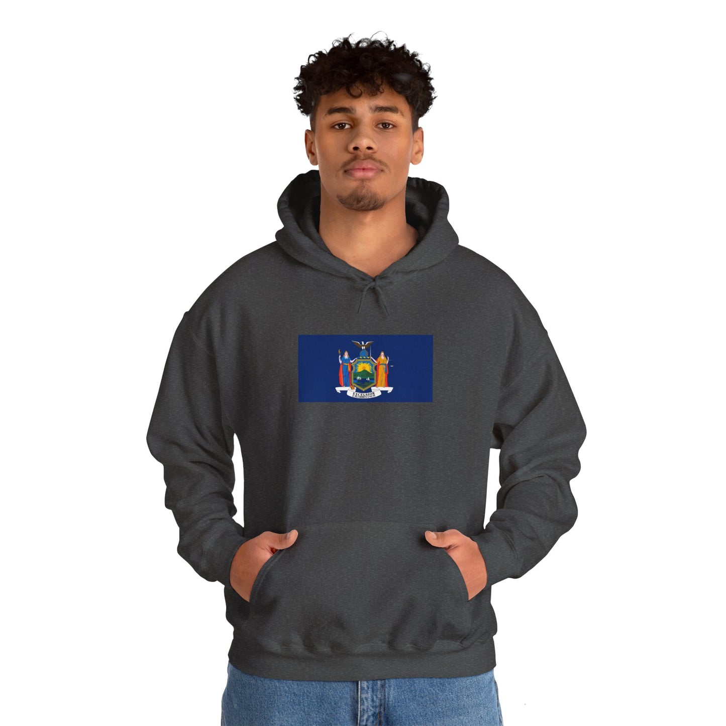 New York Flag Hoodie