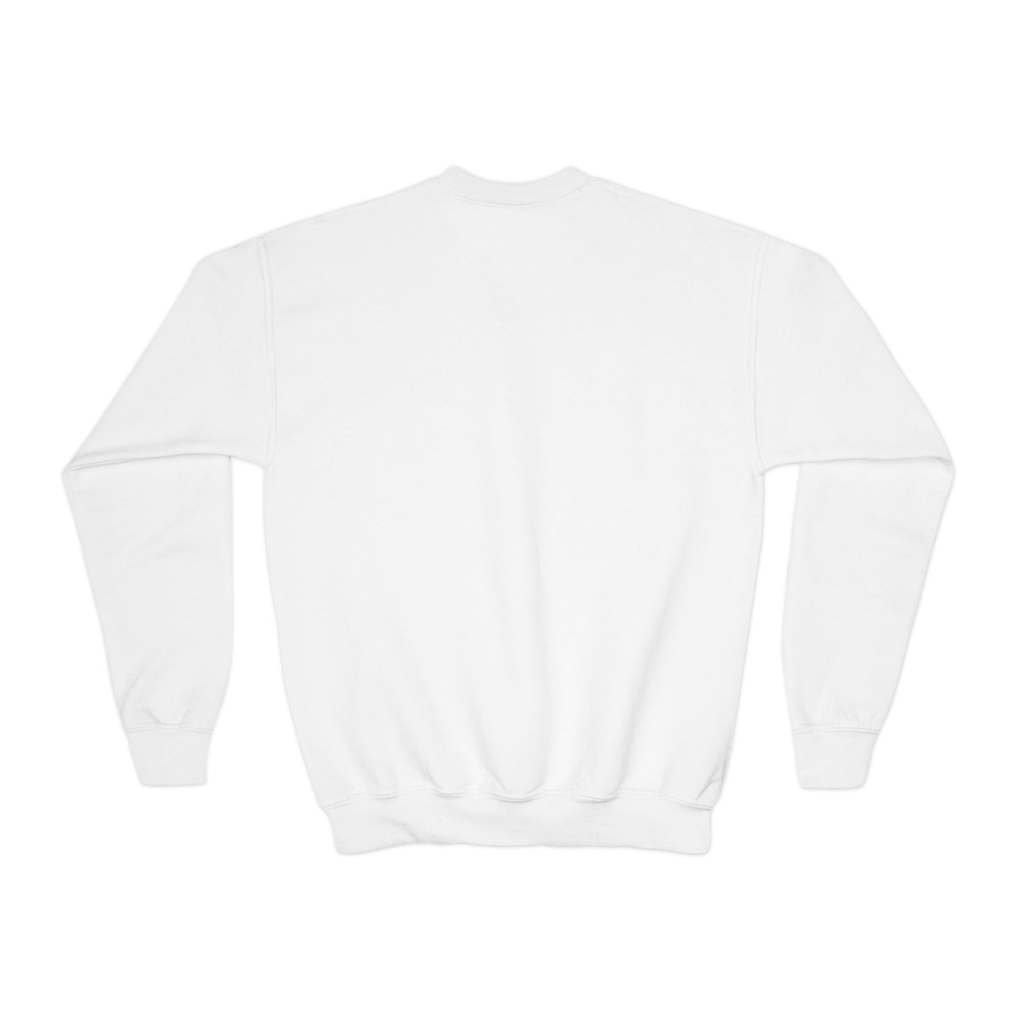 4PF Youth Sweatshirt