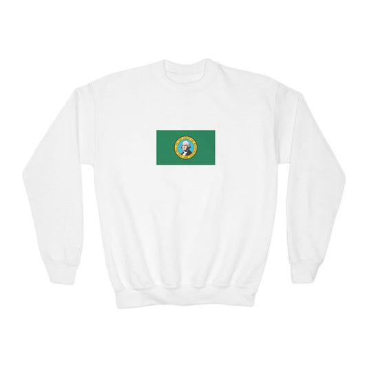 Washington Flag Youth Sweatshirt