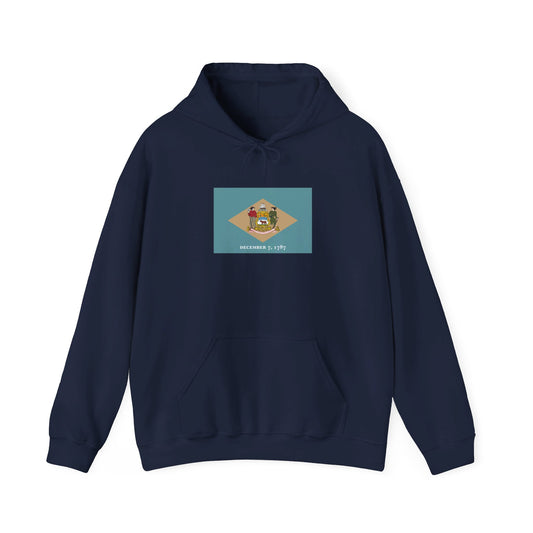 Delaware Flag Hoodie