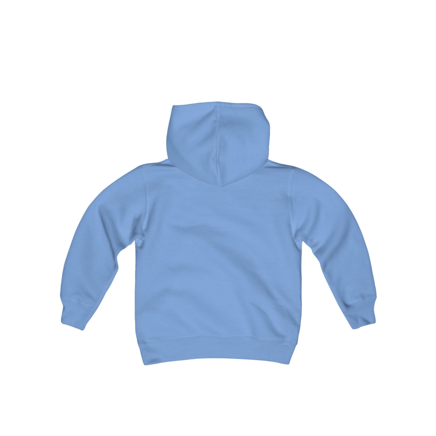 Alaska Flag Youth Hoodie