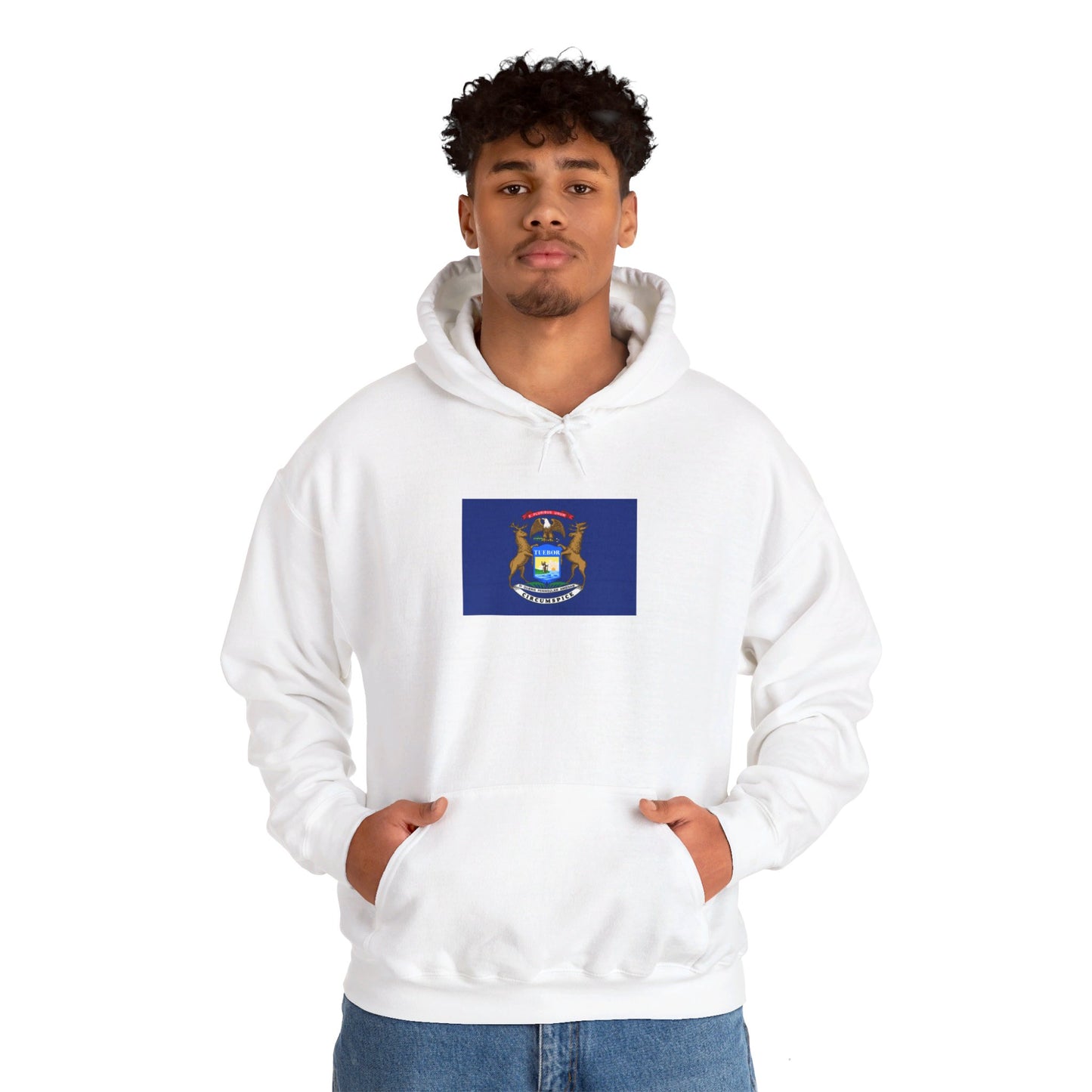 Michigan Flag Hoodie