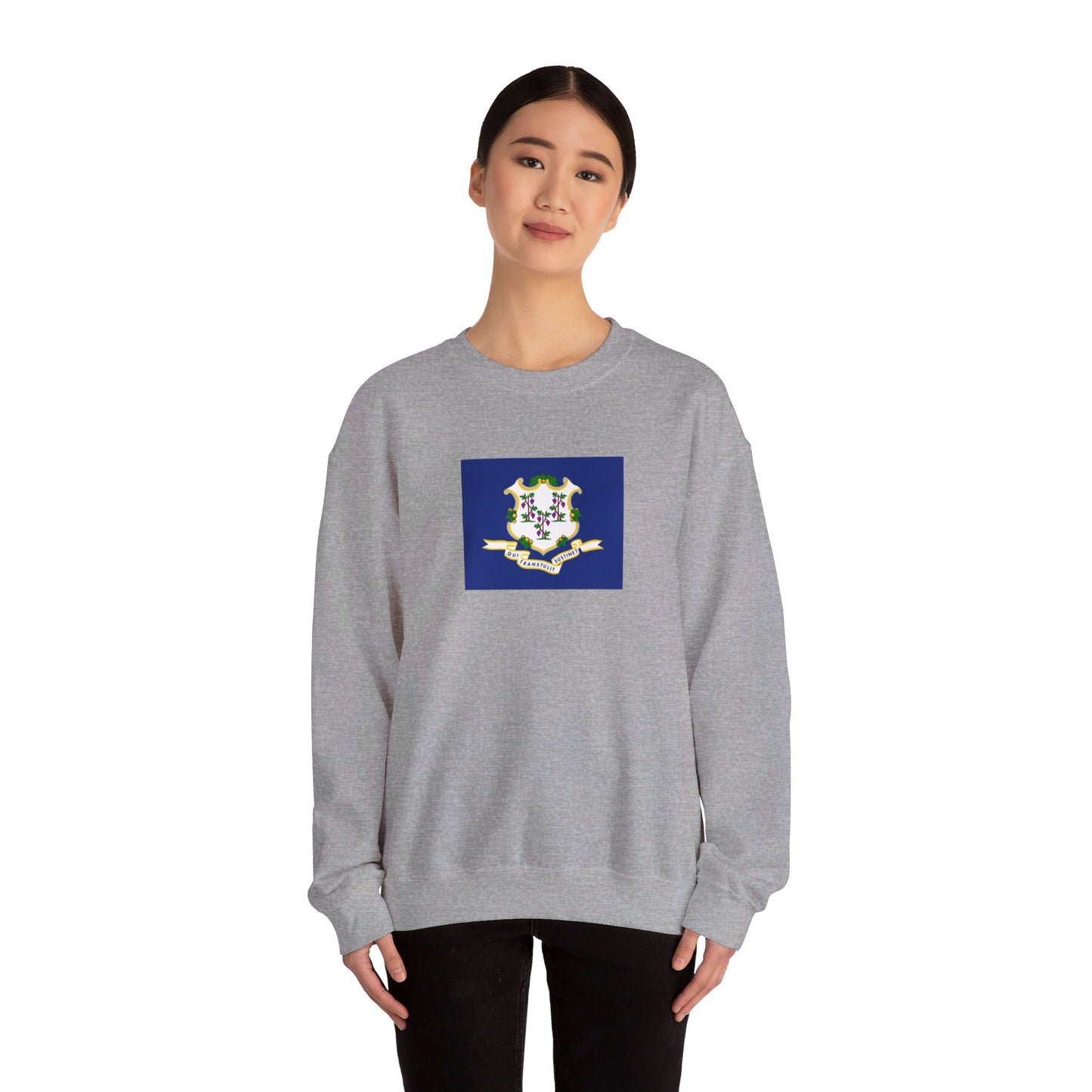 Connecticut Flag Sweatshirt