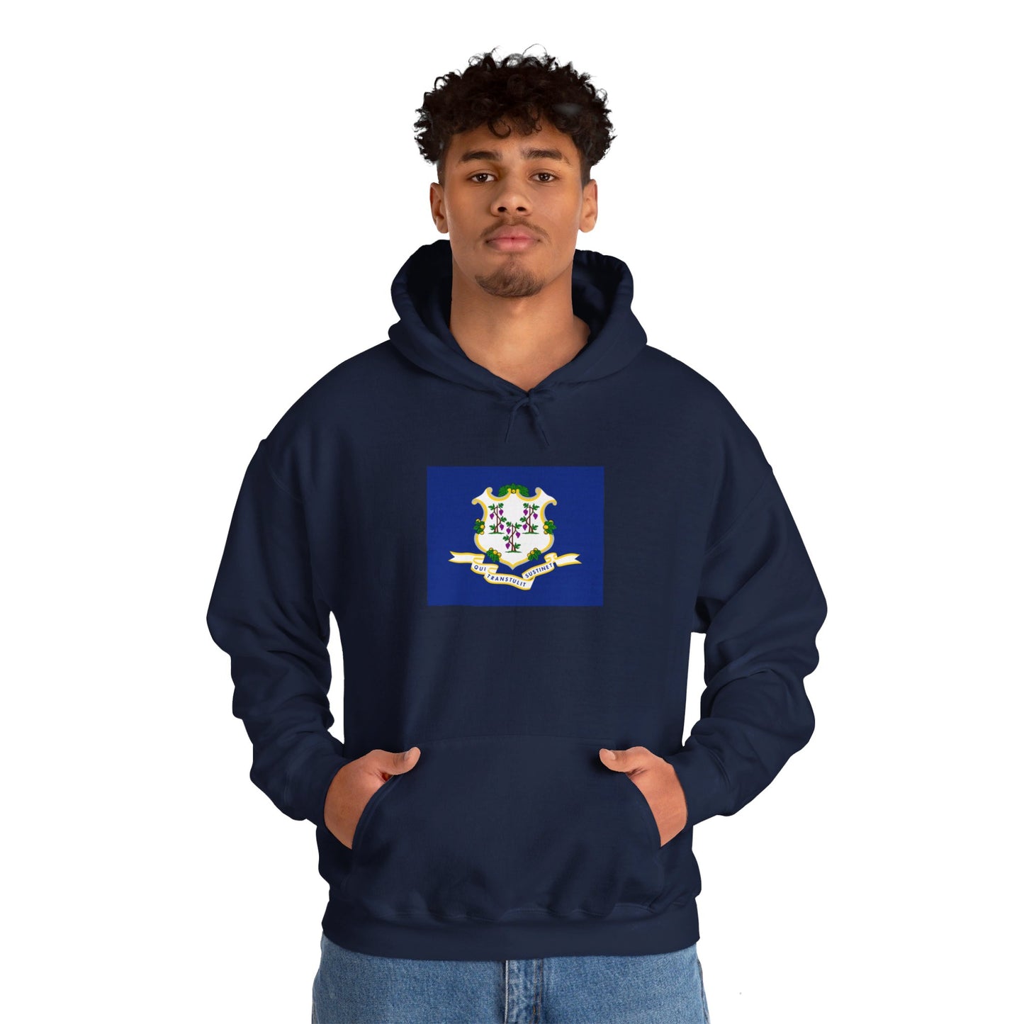 Connecticut Flag Hoodie