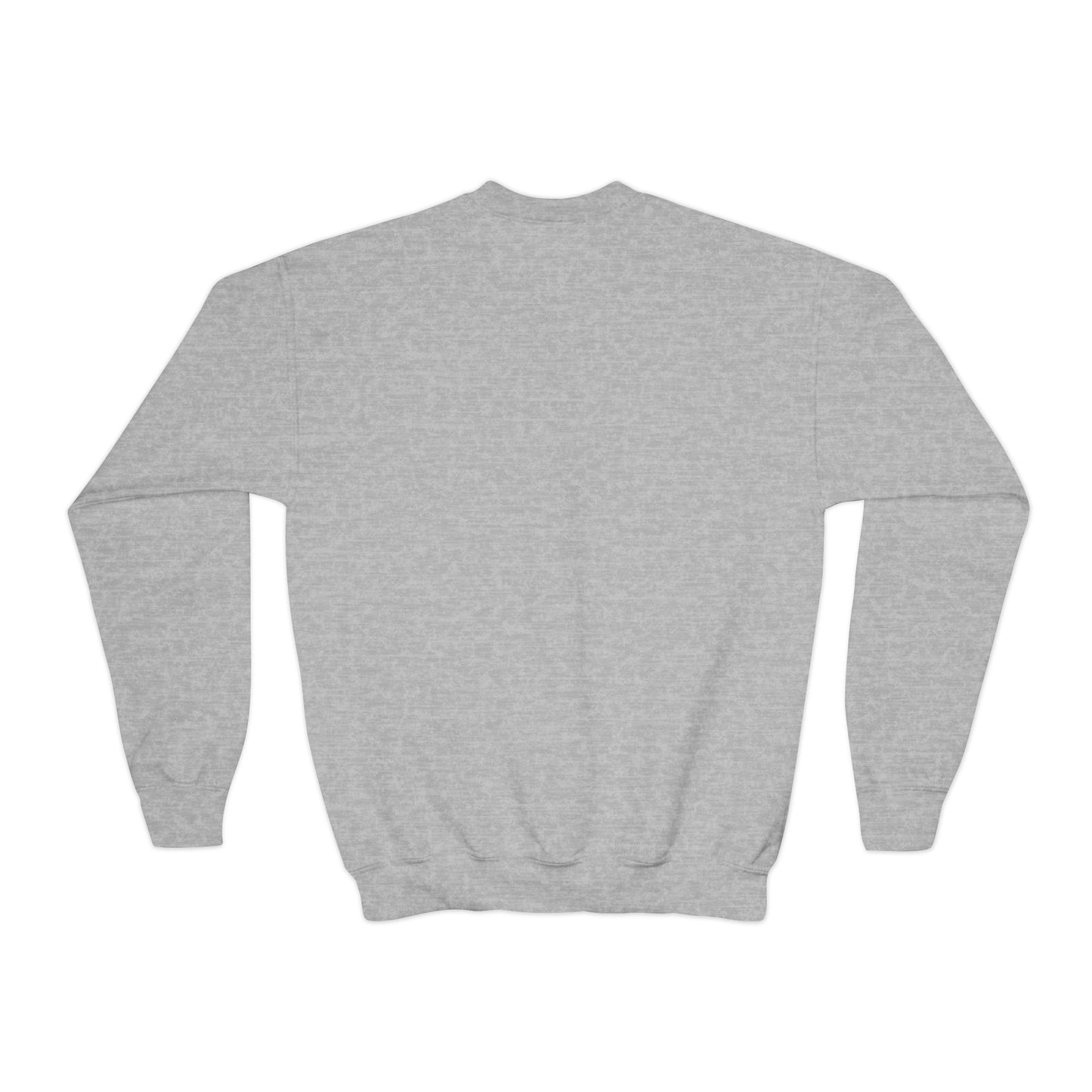 4PF Youth Sweatshirt